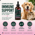 VetriScience DMG Immunity Health Easy-Dose Liquid for Dogs and Cats, 114 ml