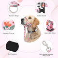 HIGO Dog Head Collar, Adjustable Head Collar for Dogs, No Pulling Head Halter, Training Nose Leash, 3 Pattern Muzzle Lea