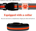 Pet GPS Tracker for Dogs & Cats, Smart GPS Collar with Real‑Time Tracking