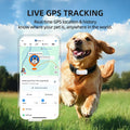 DBDD GPS Dog Trackers, 12-Mo Sub, Real-Time Loc, E-Fence, Health Monitor
