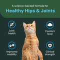 VetriScience Veterinary Strength Healthy Hip & Joint, Chicken, 60 Chews