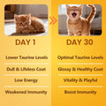 Pure Taurine for Cats Taurine Powder Supplement for Kitty Supports Vitality and Immune Health 200 Grams