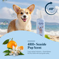 FlyDog Detangler Combo for Dogs & Cats – Leave-in Hair Detangler Spray for Tangle-Free Grooming & Tailored Comb for Dema