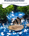 Pawfly 3 Pcs Shrimp Feeding Dish, Clear Glass Aquarium Shrimp Feeder, Transparent Food Tray for Fish Tanks and Terrarium