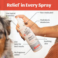 SKOUT'S HONOR Probiotic Itch Relief Spray for Dogs, 8 oz
