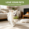 Furvana Succulent Plush Dog Toy, 2-in-1 Interactive Squeaky Chew Toy with Crinkle Layers for Medium, Large Dogs and Pupp