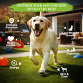 Healthy Dogma Original PetMix – USA Made Dehydrated Dog Food for Allergies, Ideal for Small & Large Breeds (Original, 10 lbs)