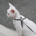Cat Harness Escape-Proof Anti-Choking Adjustable