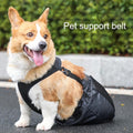 Drag Bag for Paralyzed Pets, Indoor Dog Wheelchair Alternative for Disabled Back Rear Legs Dog, Protects Chest and Limbs