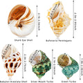 5PCS Hermit Crab Shells | Natural Sea Conch Size 2.1" - 2.8", Opening Size 0.9" - 1.5" | Medium Large Turbo Seashells fo