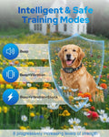 GPS Wireless Dog Fence System, 48H Battery Electric Fence for Dogs