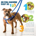 2 Hounds Design Freedom No Pull Dog Harness, Adjustable Harness and Leash Set, Easy Walking & Comfortable Control, Fits Small, Medium & Large Dogs, Solid Colors, Made in USA, 1" LG, Teal