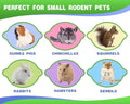 Abizoo Bunny Chew Toys for Rabbits,18PCS Natural Apple Wood Sticks with Petals Good for Chinchillas Guinea Pig Hamster T
