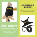 Adjustable Bearded Dragon Harness and Leash Set Soft Reptile Harness with Comfortable Wing Design Walking Leash for Bear