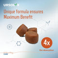 Virbac URSOLYX™ Soft Chews for Dogs | Muscle Health Support for Senior, Active or Recovering Dogs, Large Over 60lbs | 60 Count 2- Month Supply