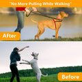 Prong Collar for Large Dogs, Dog Pinch Collar,Dog Choker Collar,High Strength Quick Release Metal Buckle,Comfort Rubber 