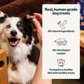 The Farmer's Dog Human-Grade Crunchy Dog Biscuits