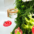 2 Pcs Jumping Spider Feeding Dish, Magnetic Water Bowl, Jumping Spider Enclosure Accessories (Beige)