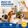 INSUM Squeaky Dog Balls - Squeaky Tennis Balls for Dogs, Multicolor | Medium - 2.5'', 20Pack
