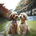 JiangYanus Double Dog Leash - No Tangle Dual Dog Leash 360° Swivel Walking Training Lead with Comfortable Padded Handle for Two Dogs (Pink, Small)