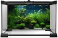 Aquarium Background Diverse Collection of Aquatic Plants Seagrasses Terrarium Background Redwood Root Moss Tropical Styl
