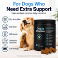 Dog is Multivitamin for Itch Relief, Dog Daily Wellness Chews