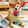 Interactive Dog Cat Toy Ball, Automatic Moving Bouncing Rolling, with Replacement Tail, Pet Smart Chase Ball Rechargeabl