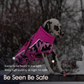 IECOii Extra Warm Dog Coat - Reflective Adjustable Jacket With Buckle Fleece Turtleneck for Cold Weather - Soft Winter C