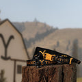 Official Yellowstone Dog Collar, Bandana & Leash Set, for Small Dogs Gift