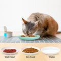 GENLGE 8 Pack Cat Bowls, Cat Food Bowl, 5.9 x 1 Inch Whisker Friendly Shallow Wide Cat Dishes, Pet Food and Water Bowl for Indoor & Outdoor Cats