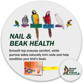 Sweet Feet and Beak Comfort Grip Safety Bird Perch, Large Pedicure Perch