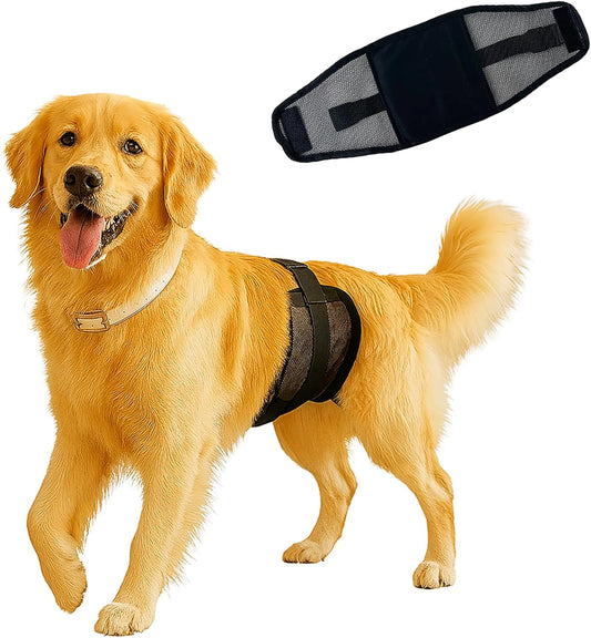 Dog Diapers Male – Reusable & Washable Belly Bands for Dogs, Breathable Air-Mesh Fabric, High Absorbing, for Doggie & Pu