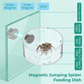 Jumping Spider Feeding Dish, 2+2 Pcs Tiny Tarantula Water Dish Magnetic Water Bowl with Dropper and Feeding Tongs, Repti