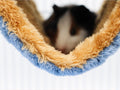 Fleece Winter Warm Rat Hammock, Double Layer Hanging Birds Nest Bed with Warm Fleece, Bird Cage Stand Perch, Hideaway Ca