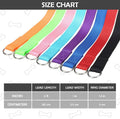 HOMIMP Slip Lead Dog Leash 6 FT- 48 PCS Bulk Colors Kennel Control Leashes for Small Medium Large Dogs Puppy Animal Resc