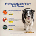 Boops Pets NAD+ Precursor & Senior Dog Supplement - 90 Soft Chews - NMN Alternative for Longevity & Healthy Aging - Nicotinamide Riboside, Resveratrol, Quercetin, Made with Pasture-Raised Chicken