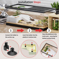 Turtle Fish Tank with Basking Platform and Bottom Drainage, 11.8" x 7" x 7.3" Aquatic Turtle Tank for Juvenile Turtle, C