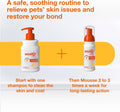 Douxo S3 PYO Chlorhexidine Shampoo (6.7 oz) & Mousse (5 fl oz) for Dogs