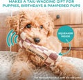 Haute Diggity Dog Chewy Vuiton Bone Plush Squeaky Dog Toy, Soft Durable Designer-Inspired Stuffed Puppy Chew Toys for Small & Medium Dogs, Machine-Washable (Tan Checker) Small