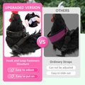 Adhafera Chicken Harness with Leash, Upgraded Double Adjustment Chicken Harness and Leash Set for Hens, Duck, Goose, Sma