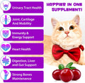 Cat Vitamins,15 in 1 Cat Multivitamin Liquid Drops Supplements for Heart Health, Bones, Joint, Skin & Coat, Digestion, I
