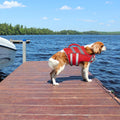 Kuoser Reflective Dog Life Jacket, Dog Life Vest for Swimming Boating