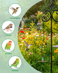 PACETAP Hummingbird Swings and Perches Metal Frame 2 Pack, Wild Bird Swing Outdoor Bird Perch with Wooden Dowel and 2 Hanging Chain for Hanging Indoor, Outdoor, Trunk, Lawn, Patio, Garden (Black)