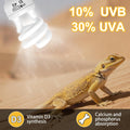 UVB Reptile Light, 10.0 15W UVA UVB Light for Reptiles, Spiral Compact Fluorescent UVB Bulb for Bearded Dragons Tortoise