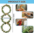 2 Pack Snake Climbing Rings for Ball Python & Corn Snake,Reptile Enrichment Toys for Snake,Ball Python Tank Decor,Reptil