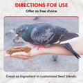 Morning Bird Pigeon Grit - Healthy & Nutritious Pigeon Food to Support Strong Muscles & Bones for Grit Eating Birds - Su