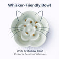 FOCPB Ceramic Elevated Slow Feeder Cat Bowl, Raised and Gently Tilted Feeding Dish with Maze Design, Whisker-Friendly, Easy to Clean, for Indoor Cats and Small Dogs (Green/Ivory)