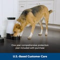 PetSafe Healthy Pet Food Station, 2 lb Gravity Feeder, Cats & Dogs