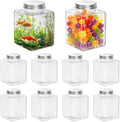 10 Pack Plastic Fish Bowls with Lids, 17oz Small Clear Fish Tank