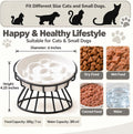 Raised Slow Feeder Cat Bowl - Ceramic Cat Slow Feeders with Stand - White